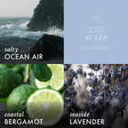 Lost at Sea Odor Eliminating Wax Melt