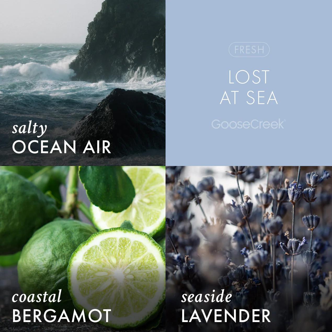 Lost at Sea Odor Eliminating Wax Melt