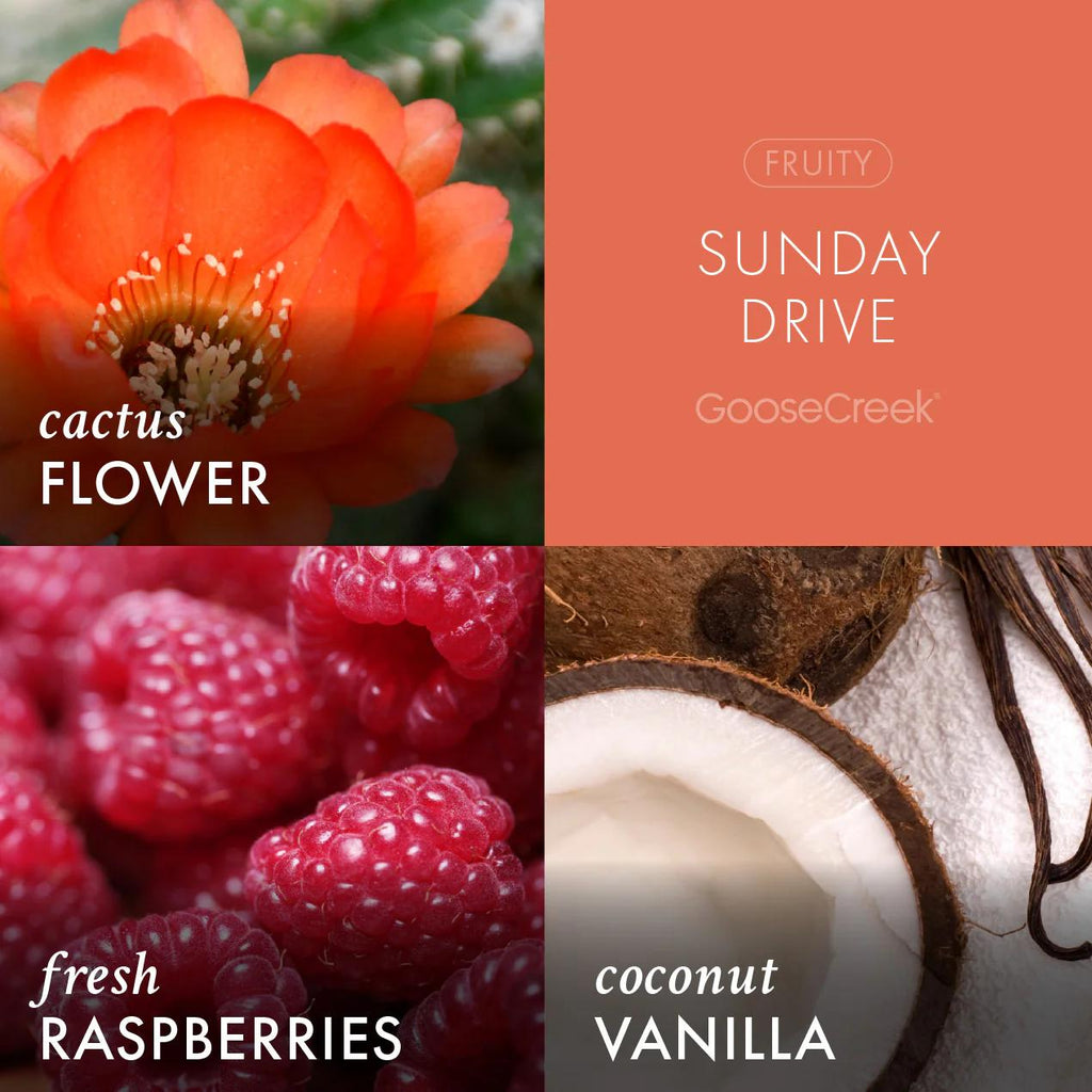 Sunday Drive Lush Foaming Hand Soap