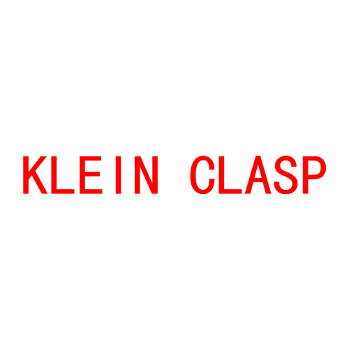 KLEIN CLASP LTD
